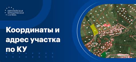 Преимущества найти собственника по кадастровому номеру