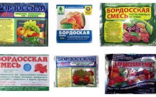 Преимущества обработки почвы бордосской смесью