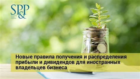 Преимущества получения дивидендов