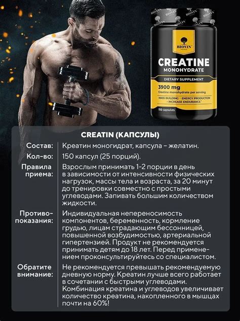 Преимущества приема креатина во время тренировок