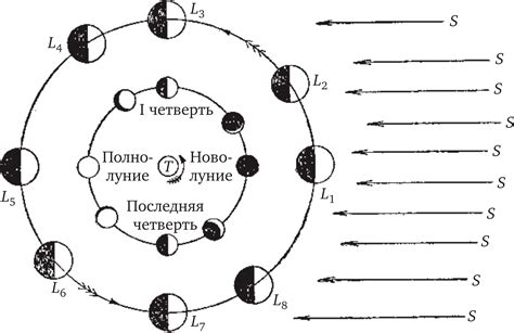 Преимущества сбора грибов в определенные фазы луны