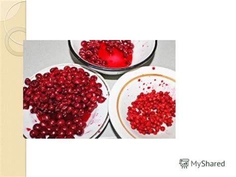 Приготовление вишни для украшения торта: основные способы