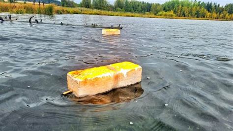 Приготовление жмыха на сазана