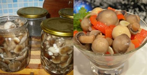 Приготовление маринованных грибов под шубой