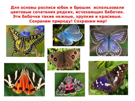 Приготовление основы для бабочки