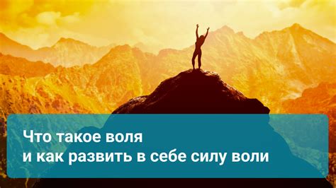 Приемники силы и воли