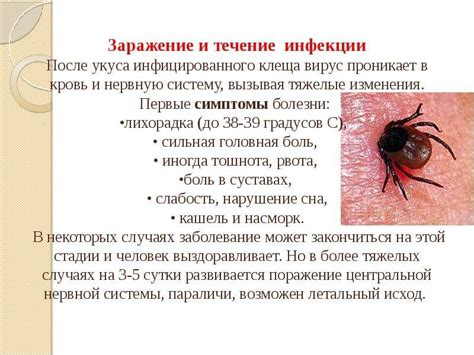 Признаки инфицированности клеща