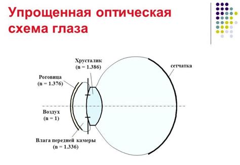 Приложения принципов и механизмов глаза флюгеля в человеческом мире