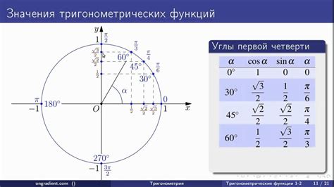 Применение косинуса окружности в геометрии и физике