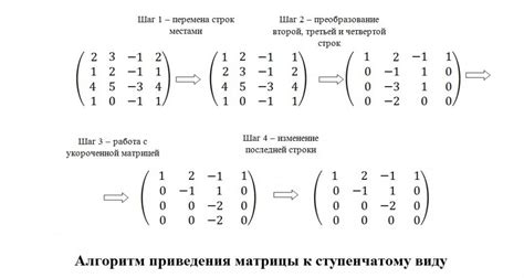 Применение метода гаусса для определения ранга матрицы