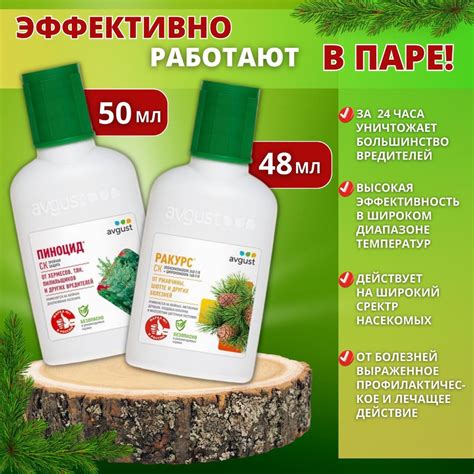 Применение пасты из муки и уксуса для борьбы с ржавчиной