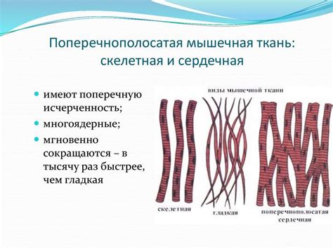 Применение поперечно полосатой ткани в моде и дизайне