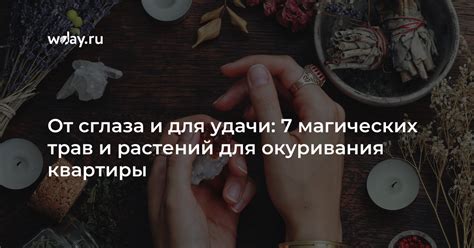 Применение трав и растений для изгнания сглаза