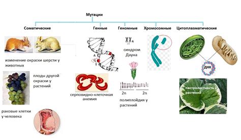 Применение увеличения частоты мутаций в медицине и генетике