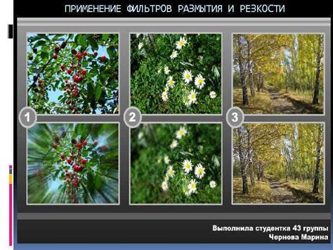 Применение фильтра размытия