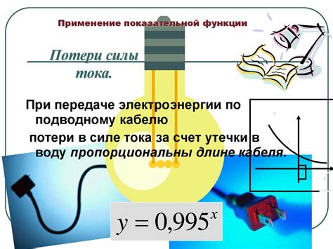 Применение функции года в различных областях