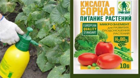 Применение химических растворов для удаления растений
