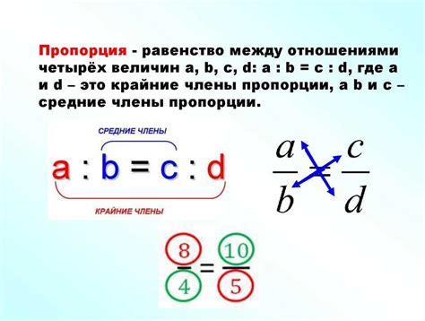 Примеры изучения пропорций