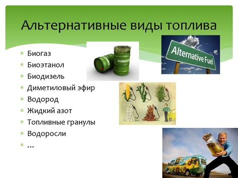 Примеры использования идентификатора растения