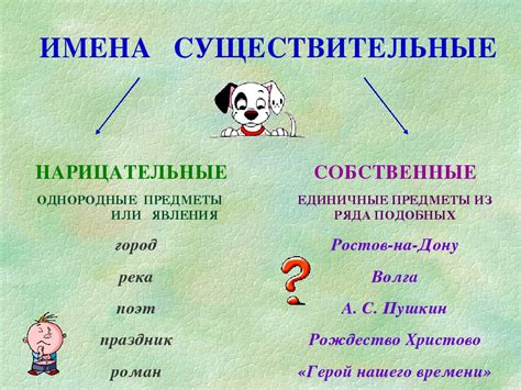 Примеры использования существительных нарицательных