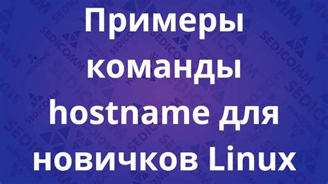 Примеры использования hostname в Linux