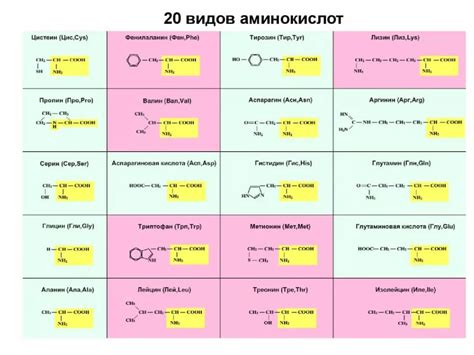 Примеры нейтральной реакции аминокислот