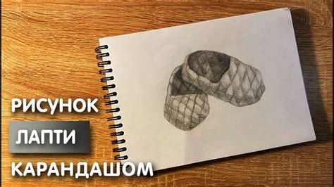 Примеры рисования лапки