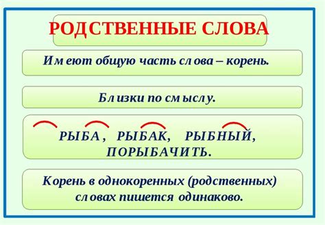 Примеры словоформ