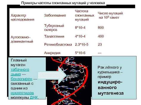 Примеры увеличения частоты мутаций в различных организмах