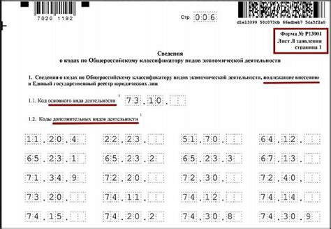 Пример правильного выбора кода ОКВЭД