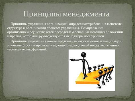 Принципы действия и основные функции