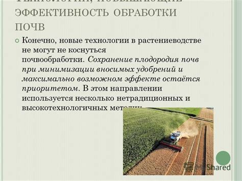 Принципы действия удобрений в растениеводстве