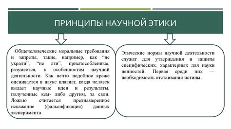 Принципы и процесс научной работы