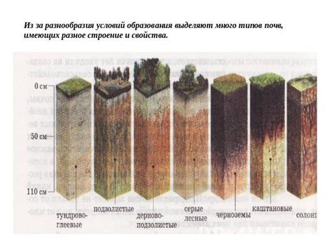 Принципы поддержания чистоты почвы и растительности