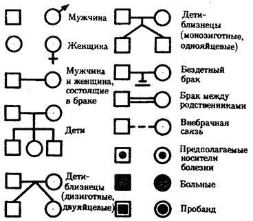 Принципы построения родословной по генетике