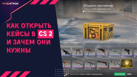 Принципы работы сканера кейсов в КС