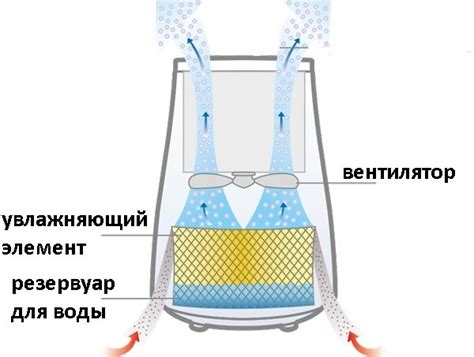 Принципы работы увлажнителя воздуха