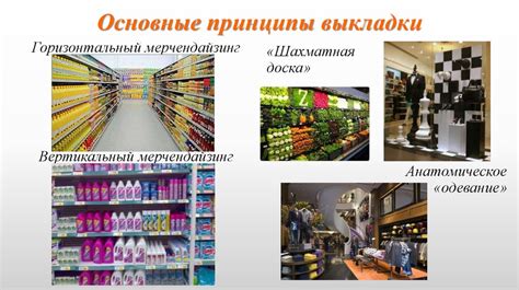 Принципы работы фильтров в розничной торговле