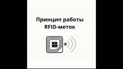 Принцип работы копилки Сбербанка
