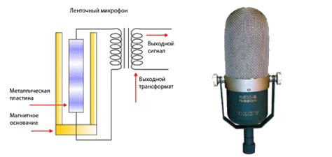 Принцип работы микрофона-динамика