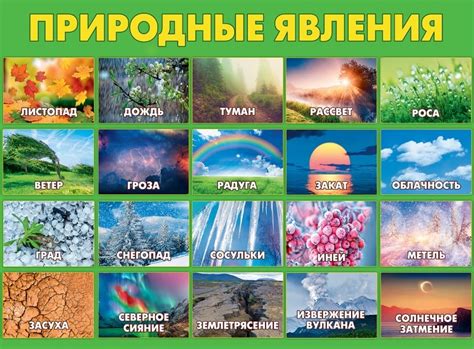 Природа как полный набор природных явлений