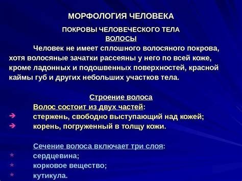 Природа человеческого тела и волосяного покрова