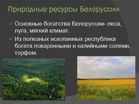 Природные богатства Беларуси