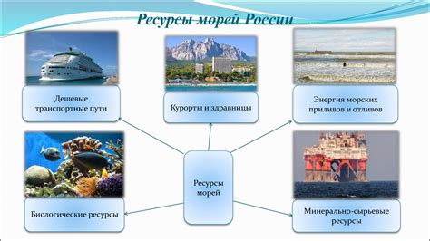 Природные богатства морей России