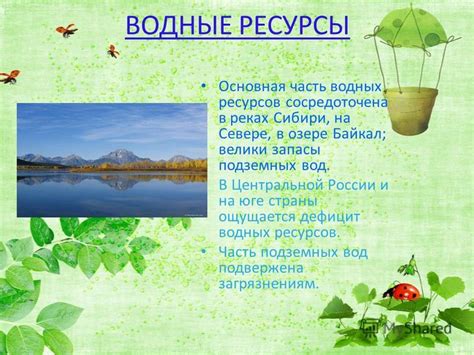 Природные водные ресурсы: роль в экосистеме