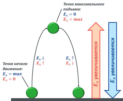 Природные инстинкты и законы физики