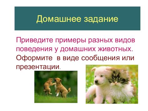 Природные инстинкты и поведение