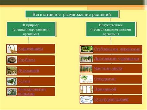 Природные способы и средства