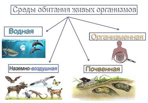 Природные среды и места обитания ринопитека