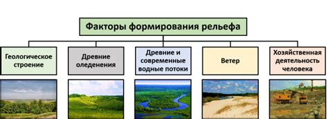 Природные факторы, влияющие на формирование боковых отростков